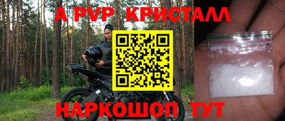 стаф Кинель