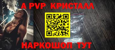 стаф Кинель