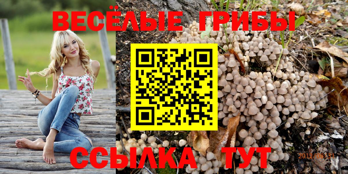 купить наркоту  Псилоцибиновые грибы ЛСД  Вход с VPN  Магнитогорск 
