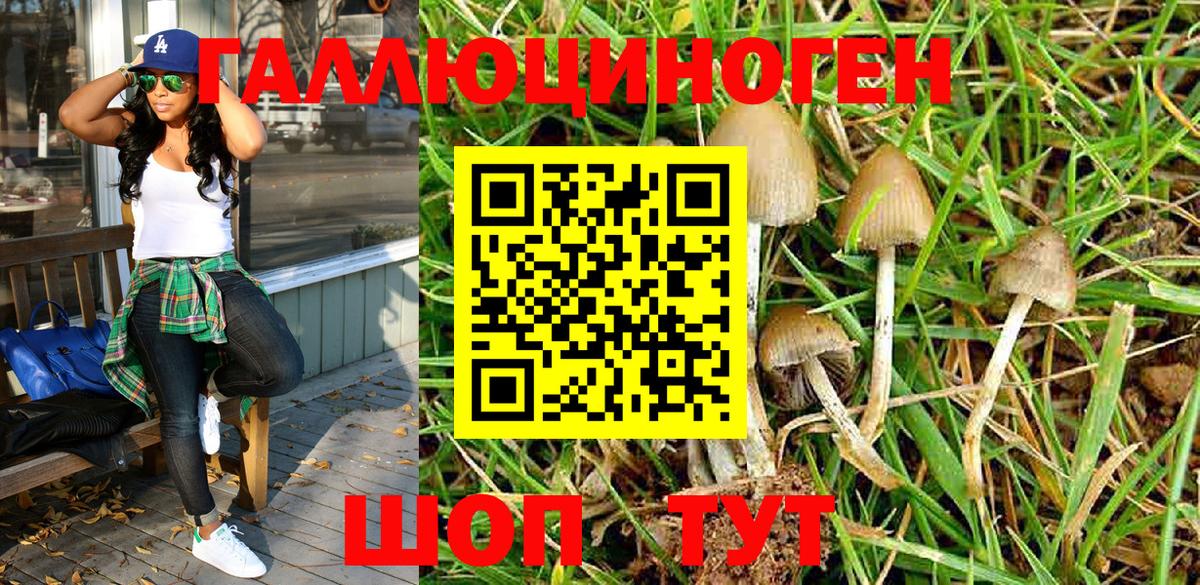 Галлюциногенные грибы MAGIC MUSHROOMS Магнитогорск